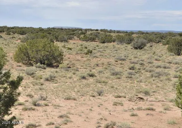 Homes for sale in Concho, AZ | 36 County Rd N5576, Concho, AZ 85924 | MLS# 6909376