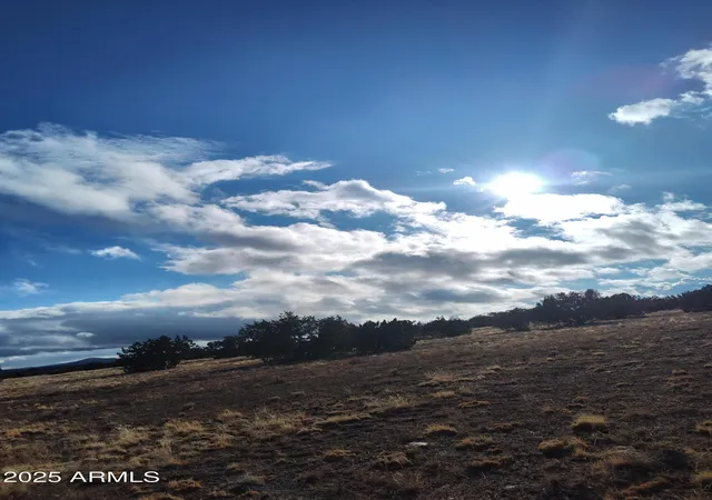Photo 2 of Land for sale at Xxx N Xxx, Seligman, AZ 86337 | MLS# 6910448 | Listing updated on 2026-01-01