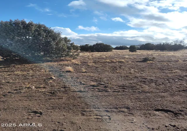 Photo 1 of Land for sale at 00000 N Deliverace #453, Seligman, AZ 86337 | MLS# 6910636 | Listing updated on 2026-01-01