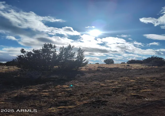 Photo 2 of Land for sale at 00000 N Deliverace #453, Seligman, AZ 86337 | MLS# 6910636 | Listing updated on 2026-01-01