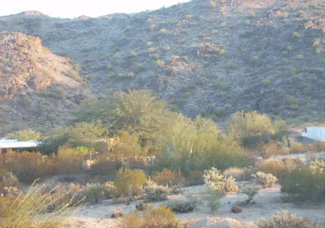 2nd image of 1925 E Euclid Ave, Phoenix, AZ 85042 | MLS# 6915627