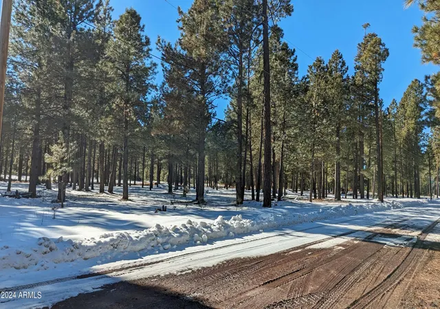 3rd image of 1960 Merryland Rd #233, Forest Lakes, AZ 85931 | MLS# 6918339
