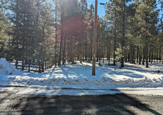 4th image of 1960 Merryland Rd #233, Forest Lakes, AZ 85931 | MLS# 6918339