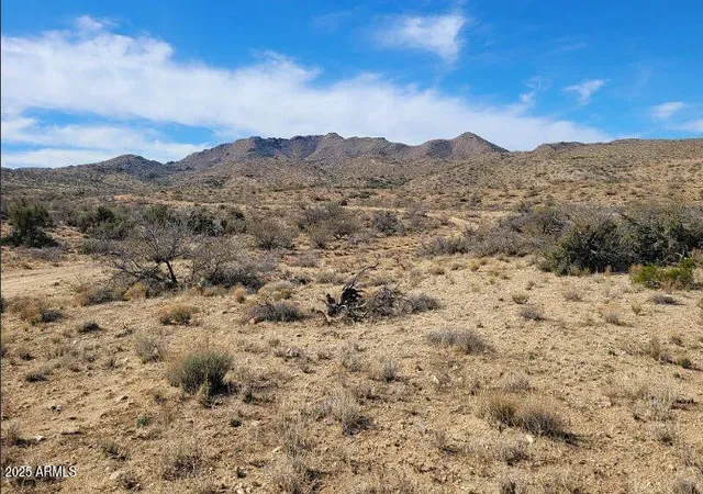 5th image of Xxxx W Trezler Rd, Congress, AZ 85332 | MLS# 6928595