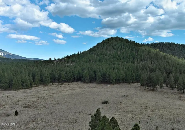 Photo 3 of Land for sale at Q` Forest Road 193 St #0, Flagstaff, AZ 86001 | MLS# 6929926 | Listing updated on 2026-08-31