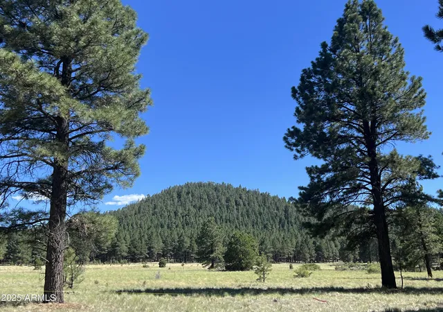 Photo 4 of Land for sale at Q` Forest Road 193 St #0, Flagstaff, AZ 86001 | MLS# 6929926 | Listing updated on 2026-08-31