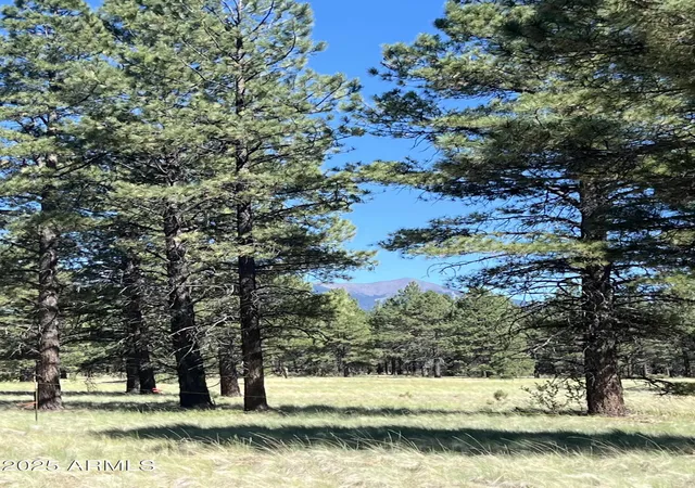 1st image of 0 Forest Road 193 St #0, Flagstaff, AZ 86001 | MLS# 6929932