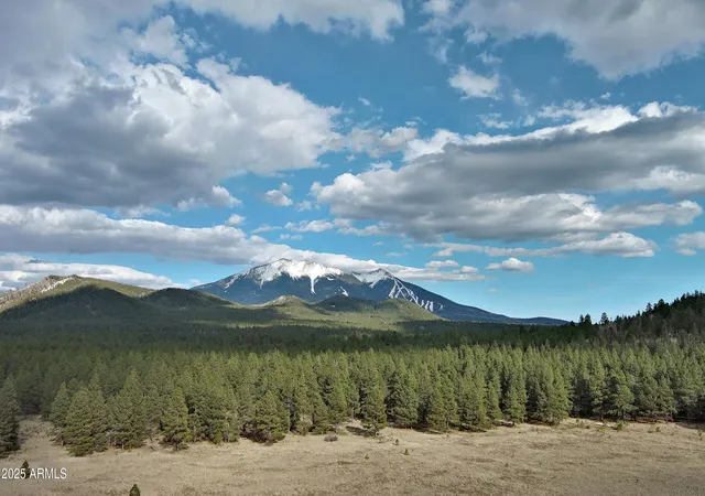 Photo 3 of Land for sale at 0 Forest Road 193 St #0, Flagstaff, AZ 86001 | MLS# 6929932 | Listing updated on 2026-08-31