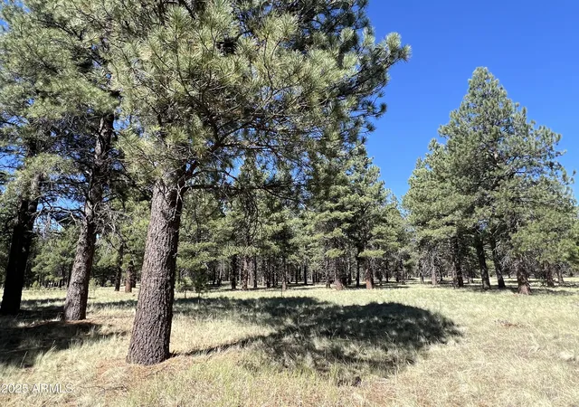 7th image of 0 Forest Road 193 St #0, Flagstaff, AZ 86001 | MLS# 6929932
