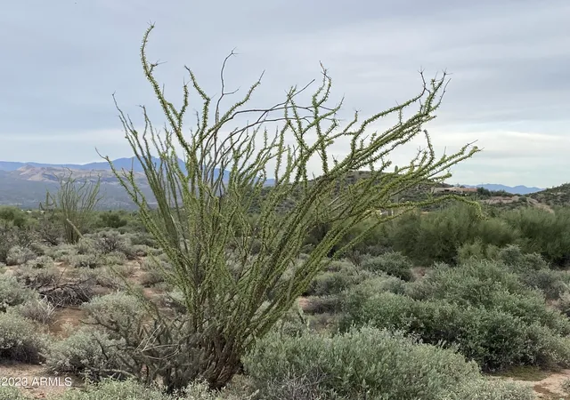 Photo 3 of Land for sale at 0 N 170 Streets #-/-/-, Rio Verde, AZ 85263 | MLS# 6930468 | Listing updated on 2026-08-01