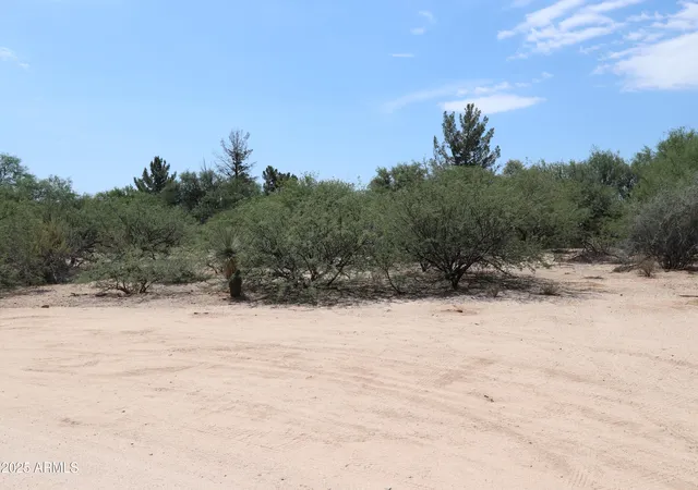 Photo 3 of Land for sale at Tbd S Hwy 80 Way #0, Cochise, AZ 85606 | MLS# 6938862 | Listing updated on 2026-03-27