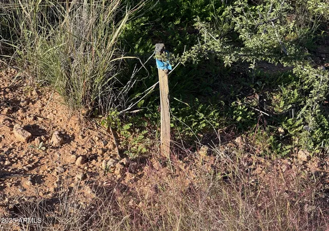 4th image of 1790 S Koch Ranch Rd, Cornville, AZ 86325 | MLS# 6942658