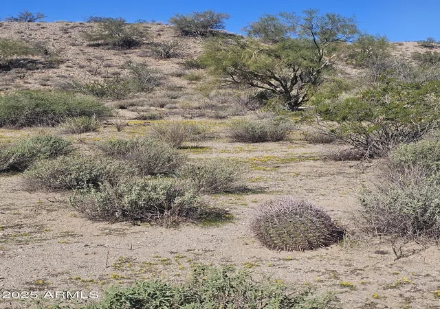 5th image of 29240 W Ashler Hills Dr #107, Wittmann, AZ 85361 | MLS# 6942736