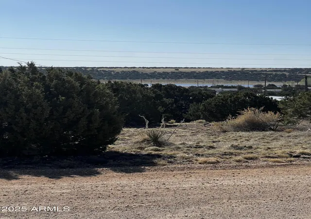 Homes for sale in Concho, AZ | 58 Short Ln #2, Concho, AZ 85924 | MLS# 6946525