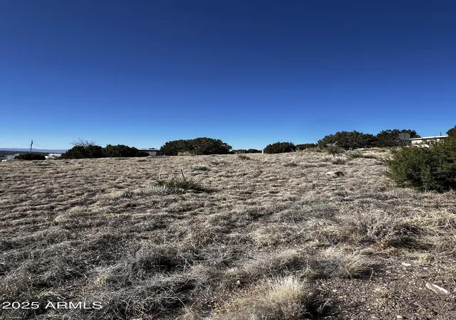 Homes for sale in Concho, AZ | 58 Short Ln #2, Concho, AZ 85924 | MLS# 6946525