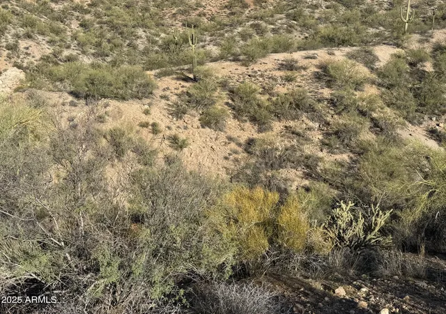 Homes for sale in Wickenburg, AZ | 38000 S Blue Tank Trl, Wickenburg, AZ 85390 | MLS# 6947365