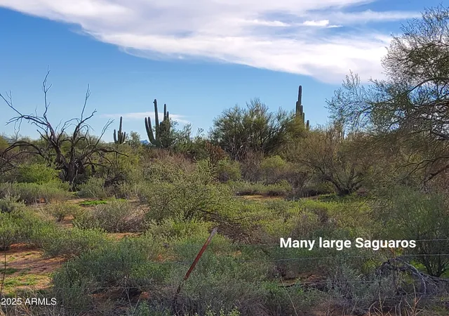 Photo 3 of Land for sale at 0 S 168th Street #0, Rio Verde, AZ 85263 | MLS# 6951116 | Listing updated on 2026-06-28