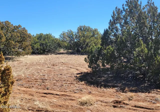 Homes for sale in Concho, AZ | 57 County Rd 8070, Concho, AZ 85924 | MLS# 6949255