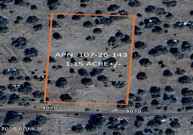 Homes for sale in Concho, AZ | 57 County Rd 8070 --, Concho, AZ 85924 | MLS# 6949255