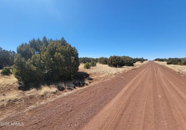 Homes for sale in Concho, AZ | 57 County Rd 8070 --, Concho, AZ 85924 | MLS# 6949255