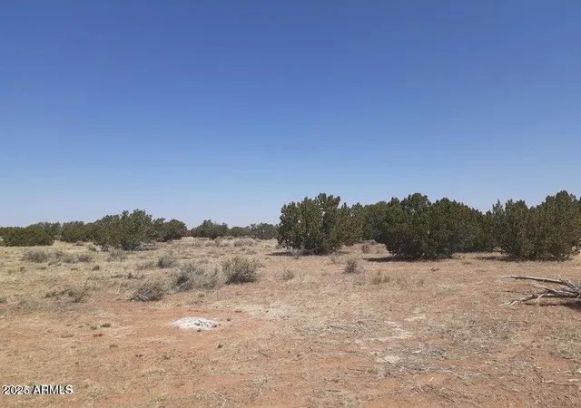 Homes for sale in Heber, AZ | 10 Acre 17Xx Buffington Hill Rd, Heber, AZ 85928 | MLS# 6949273