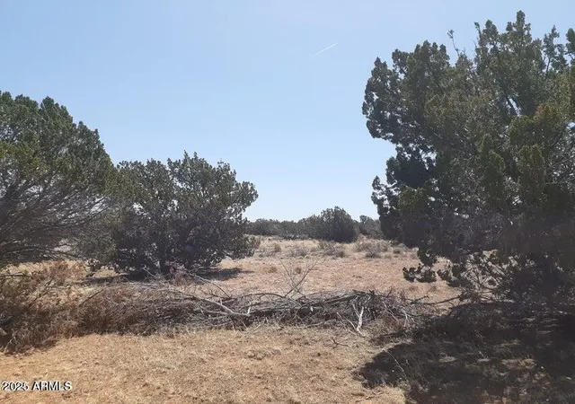 Homes for sale in Heber, AZ | 10 Acre 17Xx Buffington Hill Rd, Heber, AZ 85928 | MLS# 6949273