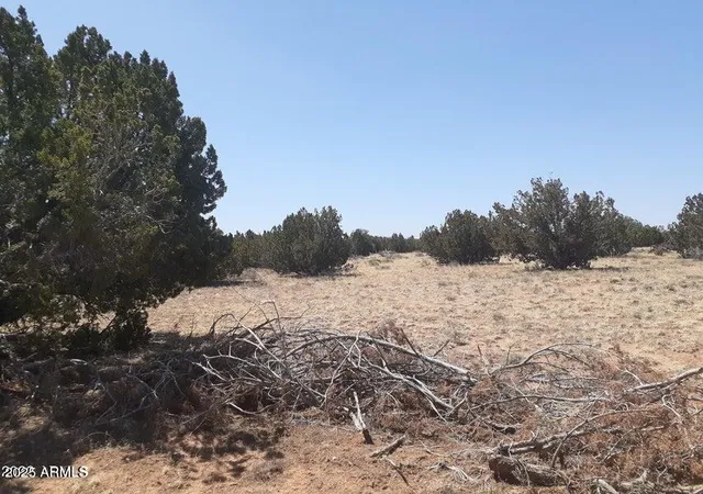 Homes for sale in Heber, AZ | 10 Acre 17Xx Buffington Hill Rd, Heber, AZ 85928 | MLS# 6949273