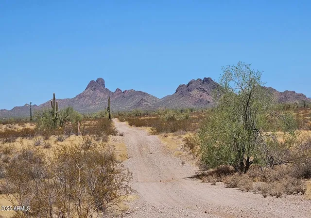 Homes for sale in Wittmann, AZ | 0 N 307th Ave #31, Wittmann, AZ 85361 | MLS# 6952420