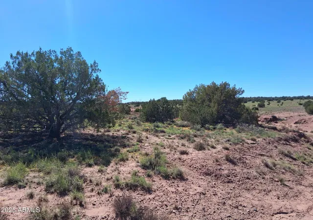 Homes for sale in Concho, AZ | 212 County Rd N9226 --, Concho, AZ 85924 | MLS# 6951053