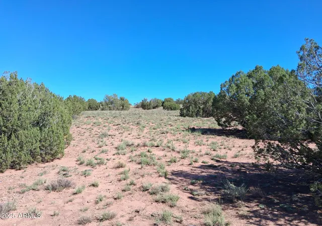 Homes for sale in Concho, AZ | 236 County Rd N9226, Concho, AZ 85924 | MLS# 6951055