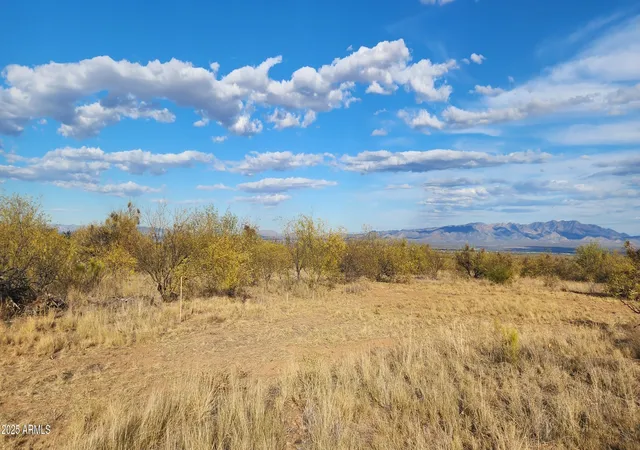 Photo 4 of Land for sale at Tbd Stickler #A, Hereford, AZ 85615 | MLS# 6951157 | Listing updated on 2025-11-25