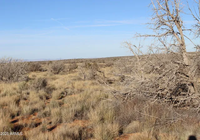 Photo 3 of Land for sale at Lot 224 Ccr Unit 2 #224, Heber, AZ 85928 | MLS# 6952969 | Listing updated on 2025-12-01