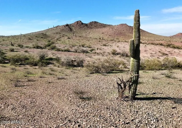 Photo 1 of Land for sale at 0000 W Cambridge Ave #506-33-565F, Tonopah, AZ 85354 | MLS# 6959587 | Listing updated on 2025-12-23