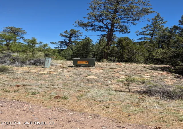 Homes for sale in Overgaard, AZ | 2968 Constellation Ln, Overgaard, AZ 85933 | MLS# 6958065