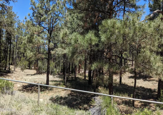Homes for sale in Overgaard, AZ | 2968 Constellation Ln, Overgaard, AZ 85933 | MLS# 6958065