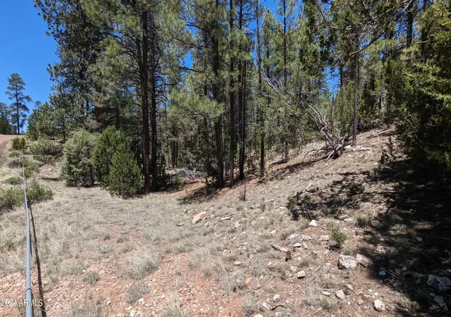 Photo 4 of Land for sale at 2968 Constellation 028 Ln, Overgaard, AZ 85933 | MLS# 6958066 | Listing updated on 2026-06-30