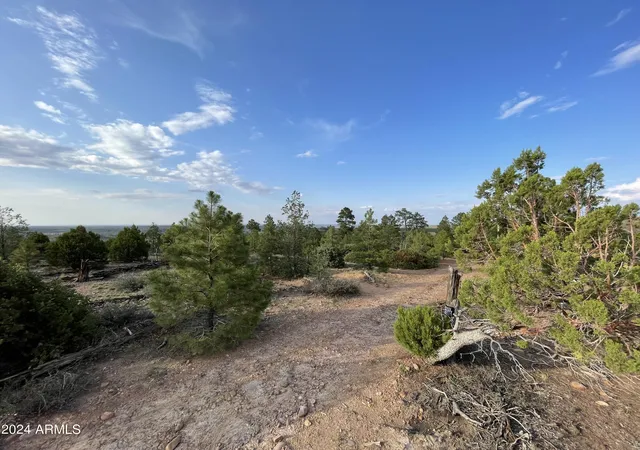 Photo 3 of Land for sale at 0 E 260 Highway, Payson, AZ 85901 | MLS# 6958612 | Listing updated on 2026-08-19