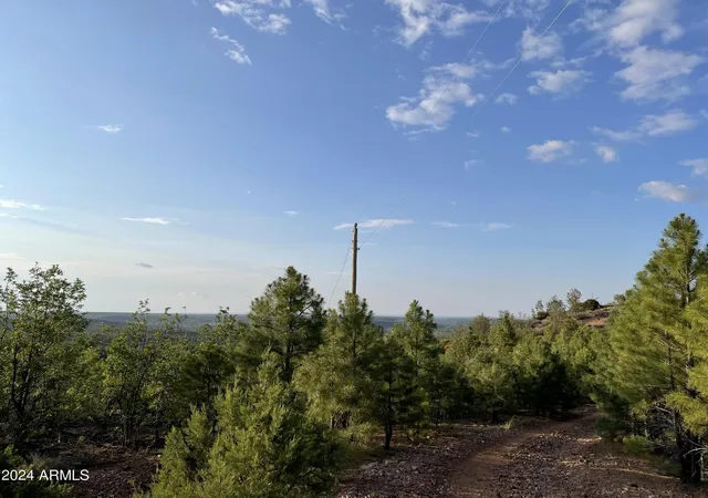 Photo 3 of Land for sale at 0 E 260 Highway, Payson, AZ 85901 | MLS# 6958612 | Listing updated on 2026-08-19