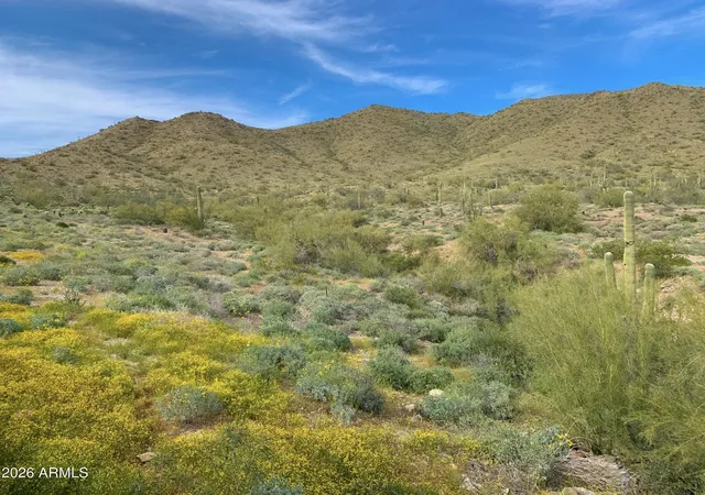 86th image of 41907 N Moss Springs Rd, Anthem, AZ 85086 | MLS# 7048032