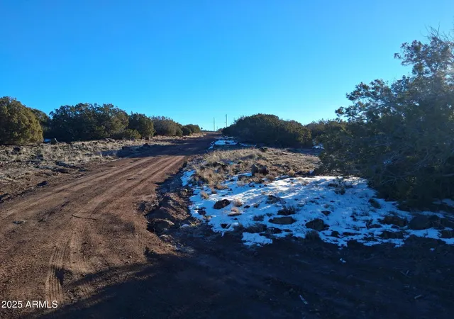 Homes for sale in Concho, AZ | 86 County Rd 8227, Concho, AZ 85924 | MLS# 6959963