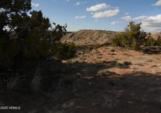 10th image of 150 N County Rd N 6100 Rd #_, St Johns, AZ 85936 | MLS# 6961215