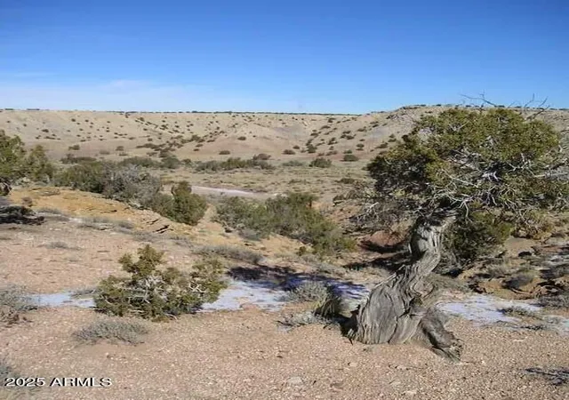 1st image of 150 N County Rd N 6100 Rd #_, St Johns, AZ 85936 | MLS# 6961215