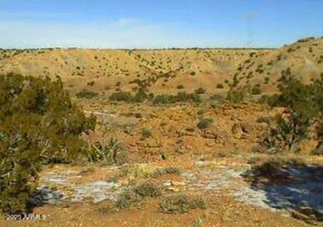 2nd image of 150 N County Rd N 6100 Rd #_, St Johns, AZ 85936 | MLS# 6961215