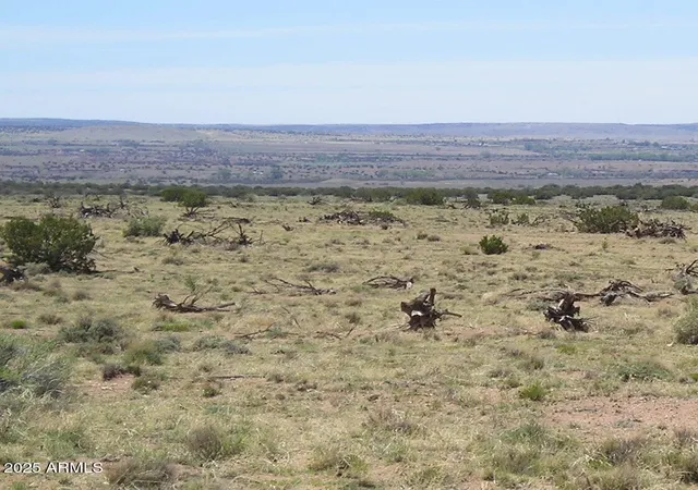 3rd image of 150 N County Rd N 6100 Rd, St Johns, AZ 85936 | MLS# 6961215
