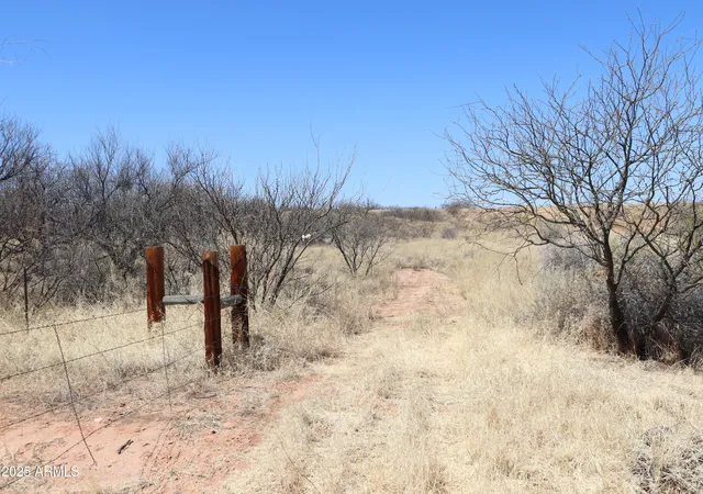 Photo 1 of Land for sale at Tbd W Eeyore Ln, Benson, AZ 85602 | MLS# 6961253 | Listing updated on 2026-07-16