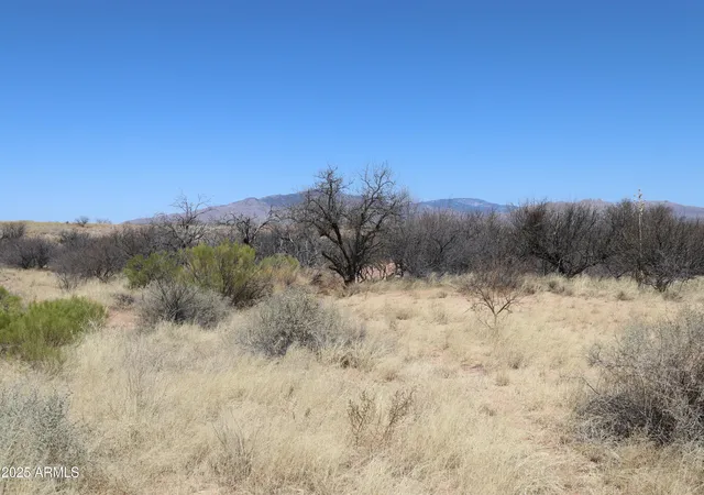 Photo 3 of Land for sale at Tbd W Eeyore Ln, Benson, AZ 85602 | MLS# 6961253 | Listing updated on 2026-07-16