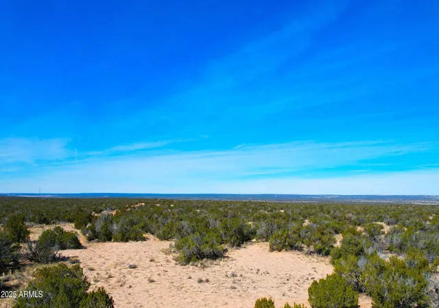 11th image of 84 County Rd N7123, Saint Johns, AZ 85936 | MLS# 6961520