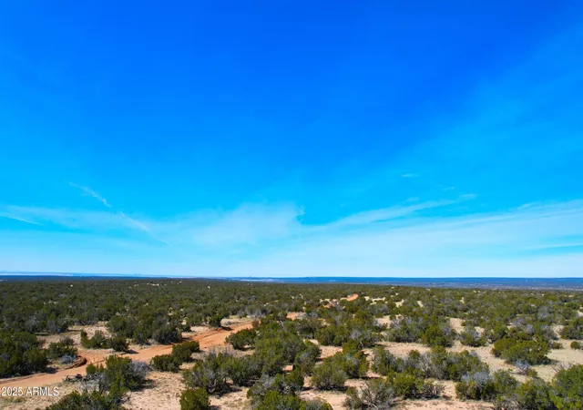 5th image of 84 County Rd N7123 --, Saint Johns, AZ 85936 | MLS# 6961520