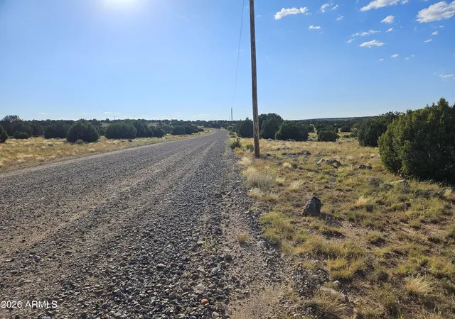 Homes for sale in Concho, AZ | Tbd Acr 8620 Lot 81 Rd #81, Concho, AZ 85924 | MLS# 6965181