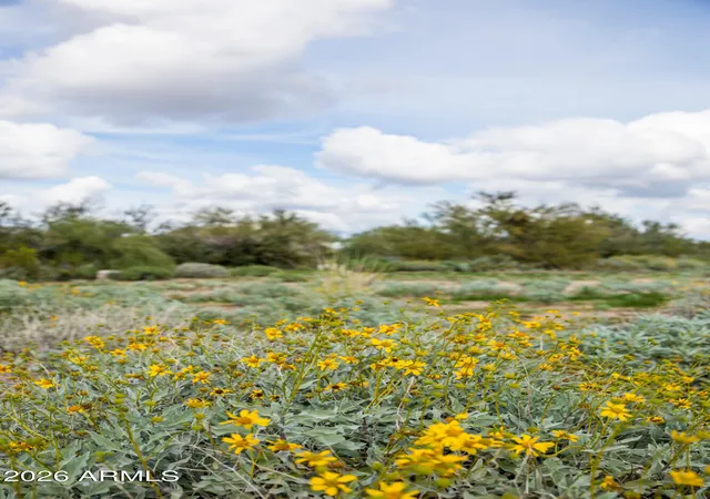 Photo 4 of Land for sale at 6382 E Calle De Mandel Dr, Scottsdale, AZ 85266 | MLS# 6965407 | Listing updated on 2026-06-30